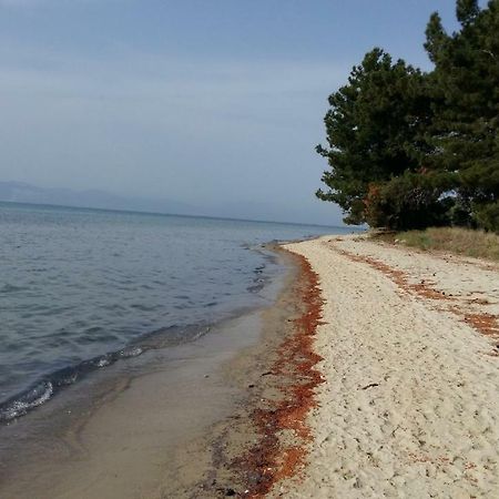 Appartamento Vlachogiannis El Estate Skala Rachoni  Esterno foto