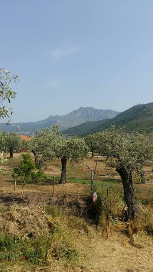 Appartamento Vlachogiannis El Estate Skala Rachoni  Esterno foto