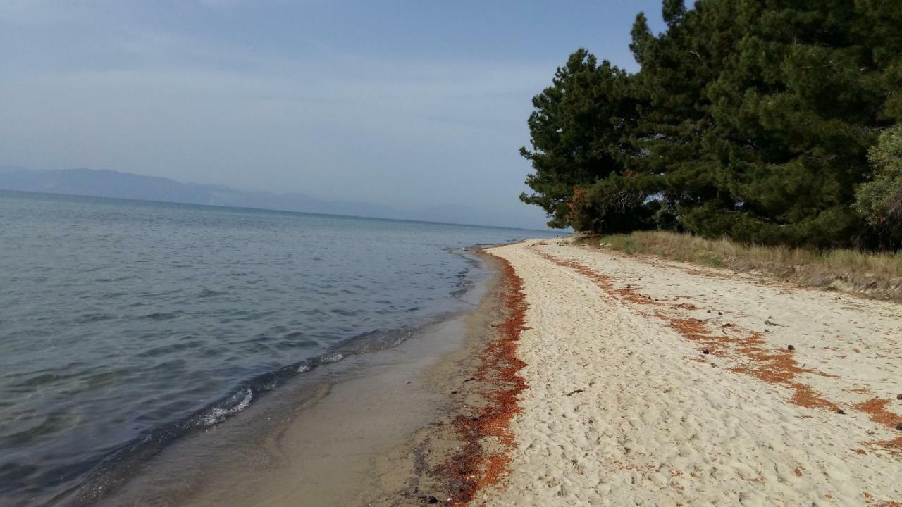 Appartamento Vlachogiannis El Estate Skala Rachoni  Esterno foto