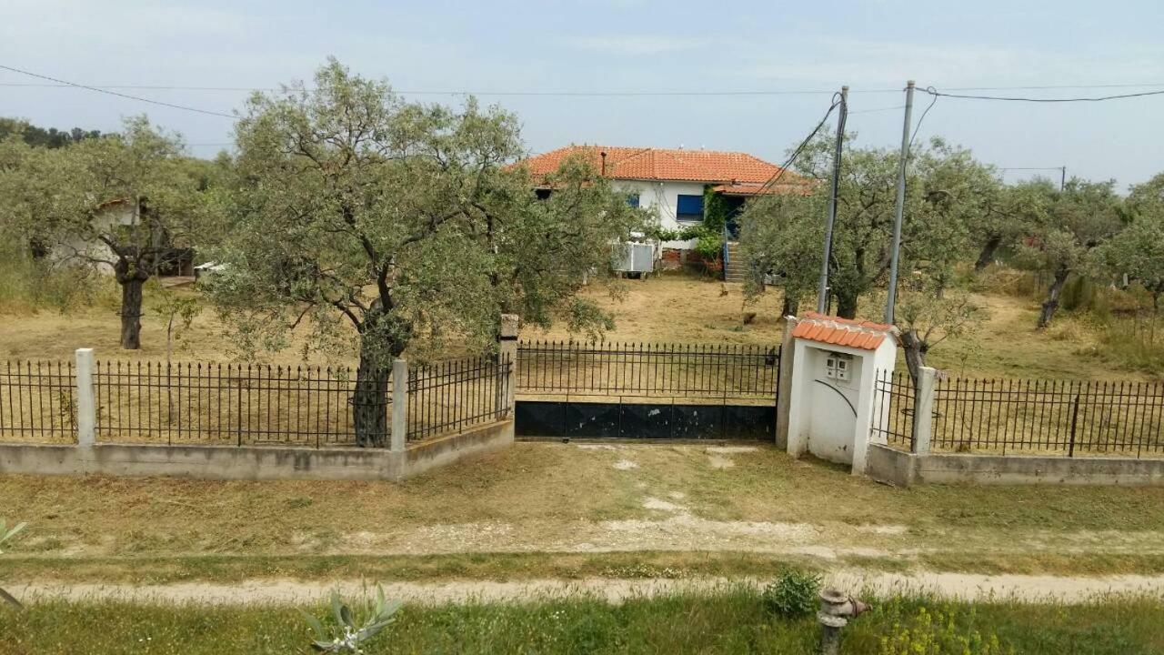 Appartamento Vlachogiannis El Estate Skala Rachoni  Esterno foto