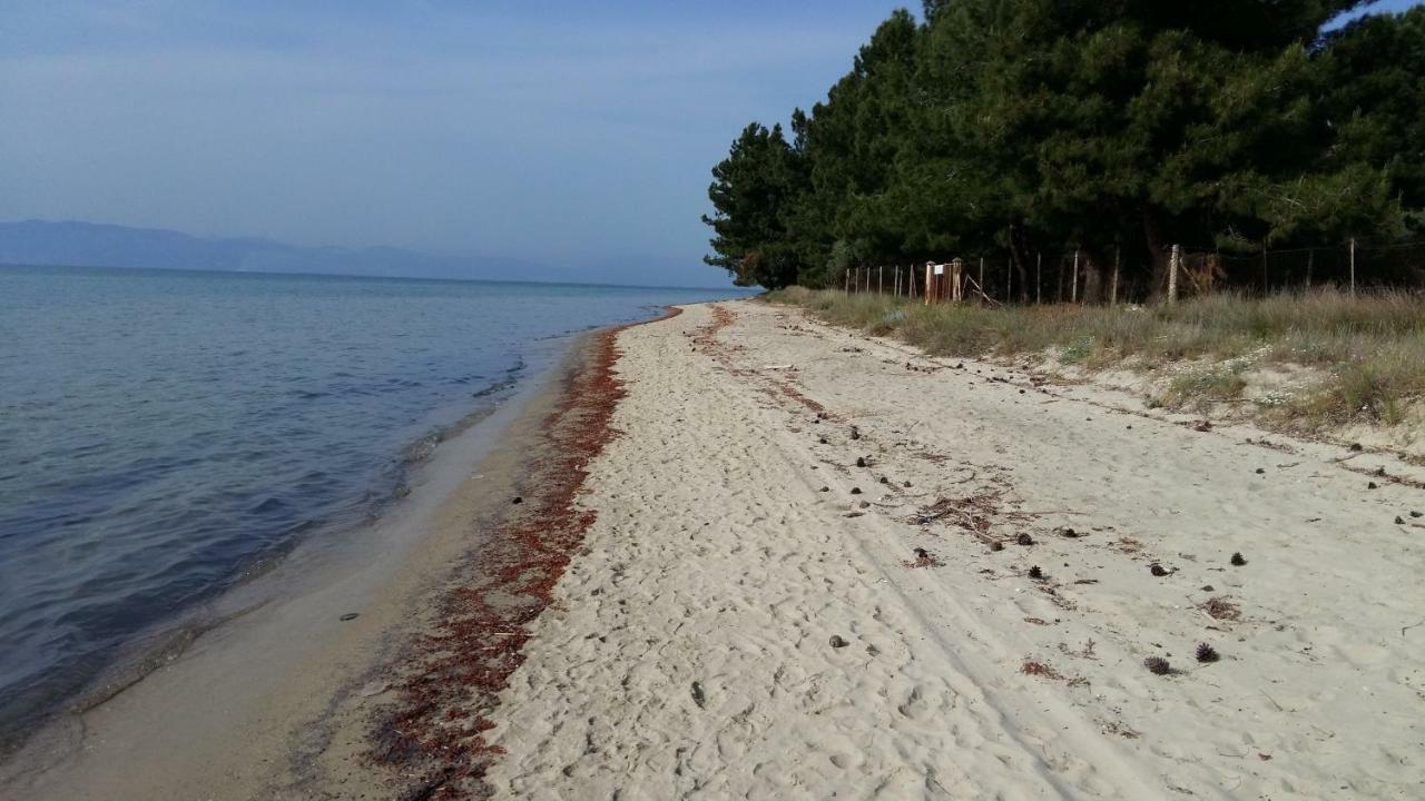 Appartamento Vlachogiannis El Estate Skala Rachoni  Esterno foto